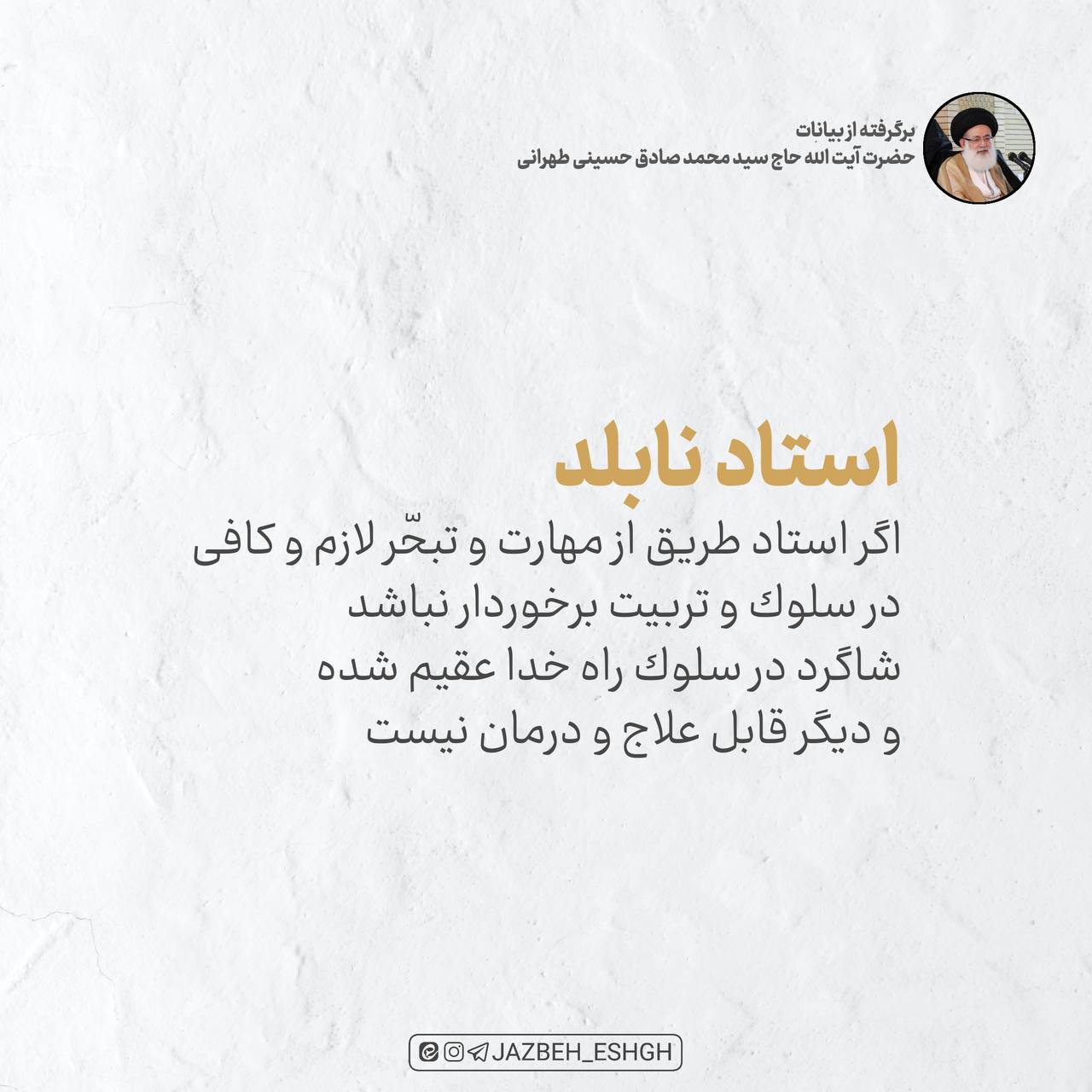 استاد نابلد